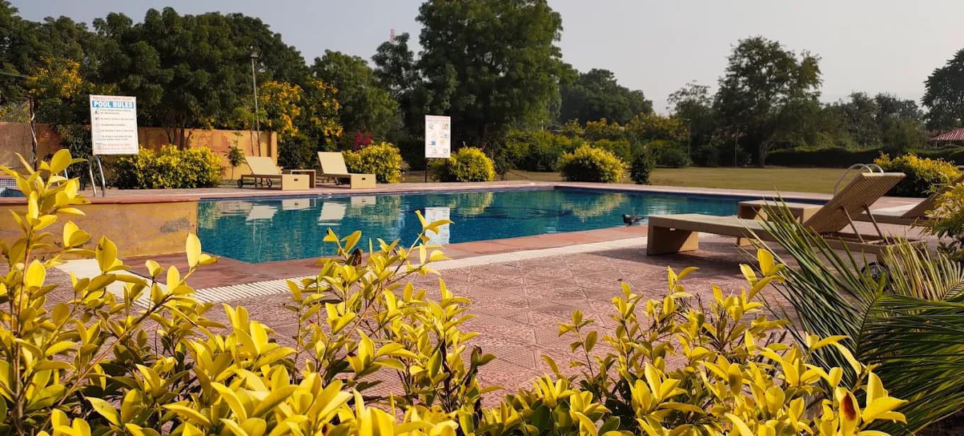 The pool seen through blossom